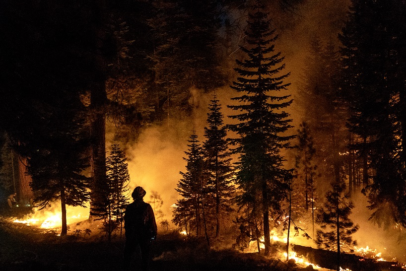 firefighter standing in front of a forest on fire at night