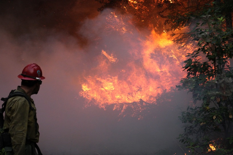 firefighter looking back toward a hillside engulfed in flames