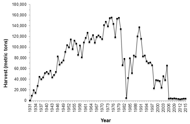 Graph 2 - Commercial kelp harvest logbook data for giant and bull kelp, 1931-2015