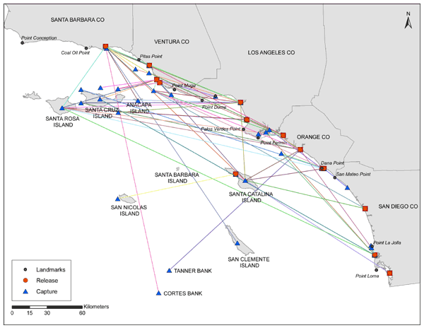 Release and Capture Locations of Tagged White Seabass Release and Capture Locations of Tagged White Seabass