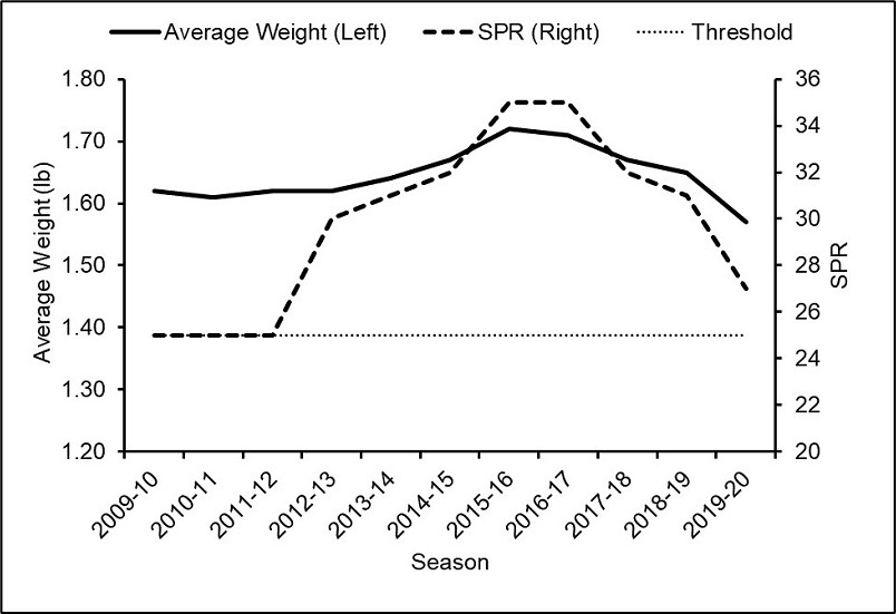 A graph of yearly lobster average weight in pounds overlayed with the SPR from 2009 to 2020. The SPR threshold of 25 is also indicated with a horizontal line, and the SPR value for the most recent season is above this threshold. 