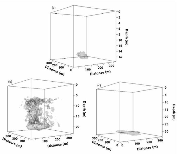 3-D graphical representation of barred sand bass activity space usage during: (a) the non-spawning season, (b) presumed spawning/courting behavior and (c) resting periods.
