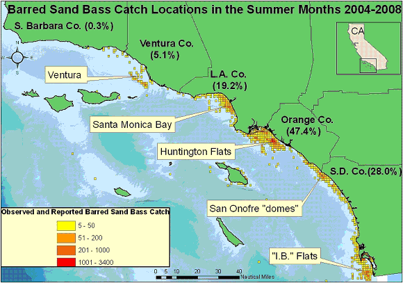 Barred Sand Bass Catch Locations in the Summer Months 2004-2008